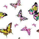 beautiful color butterflies,pattern, isolated  on a white