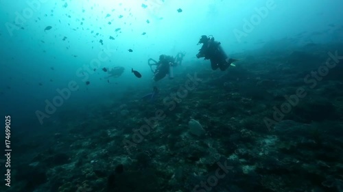 Wallpaper Mural Scuba divers drift diving over coral reef in the Raja Ampat islands  Torontodigital.ca