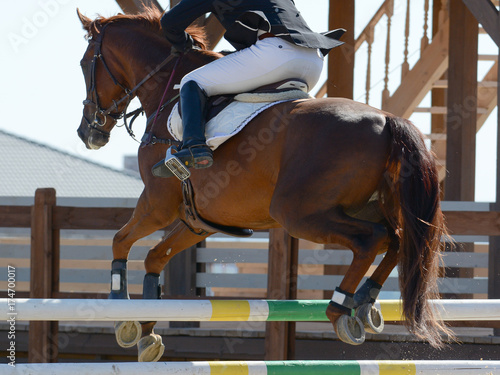 Red sport horse jumping through hurdle. Horse show jumping in details.