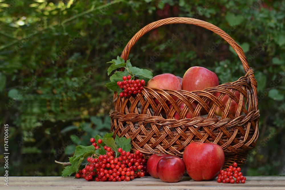 Apples in a wicker basket and bunches of viburnum.