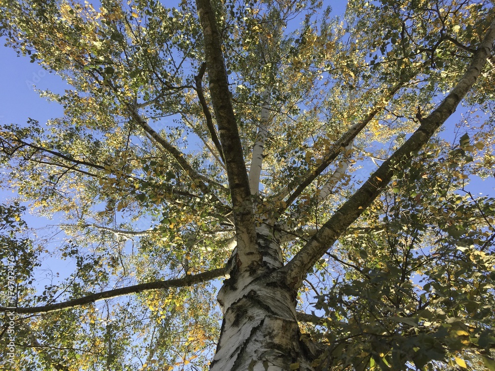 Naklejka premium Herbstzeit