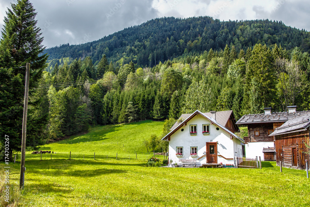 A cozy corner in the Alps, with home buildings on a green meadow in the middle of the forest