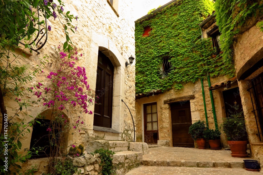 Narrow street with ivy and bougainvillea in medieval village of Tourrettes-sur-Loup, Provence, France
