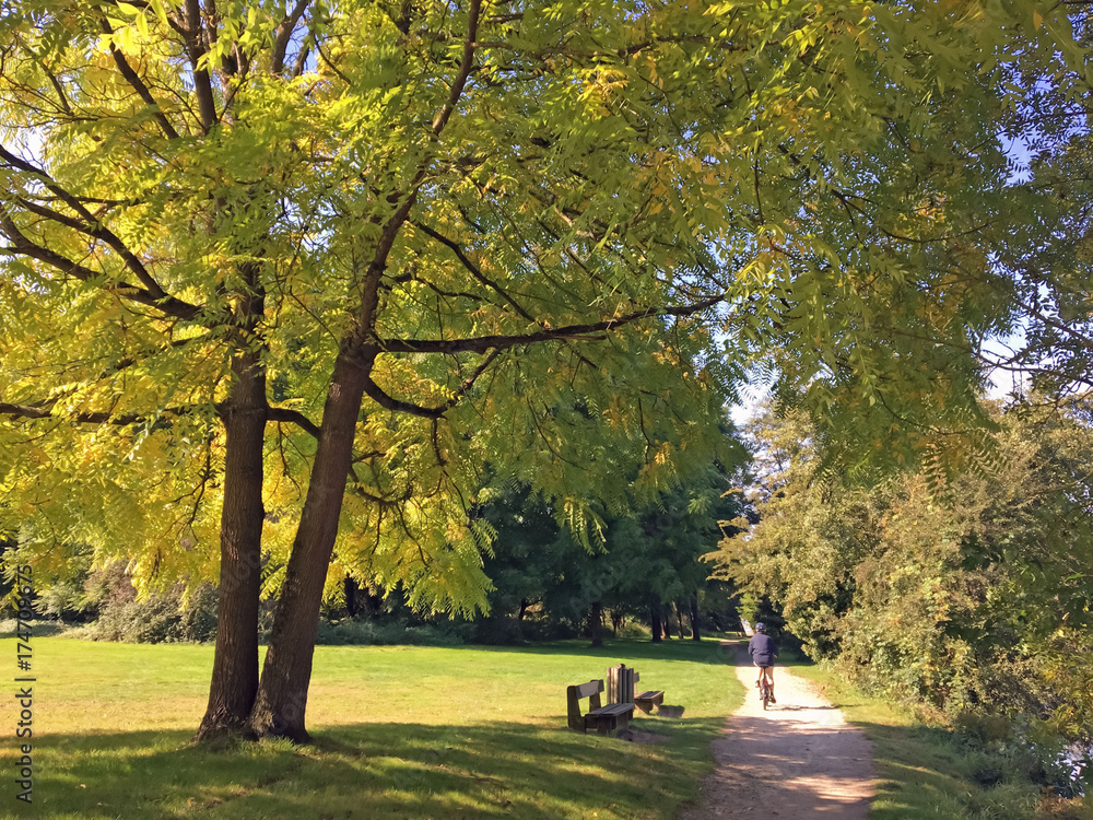 Allée promenade