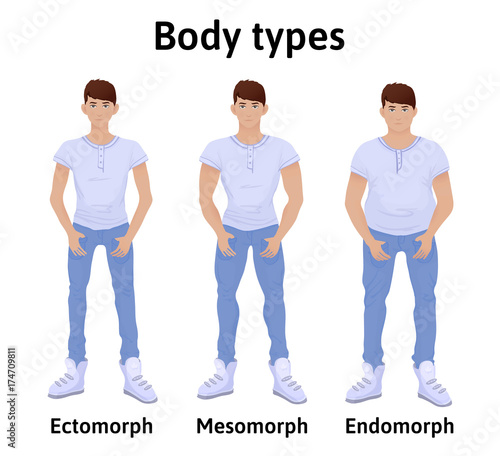 Constitution of human body. Man body types. Endomorph, ectomorph and mesomorph. Young men in t-shirts and jeans. Vector illustration, isolated on white background.