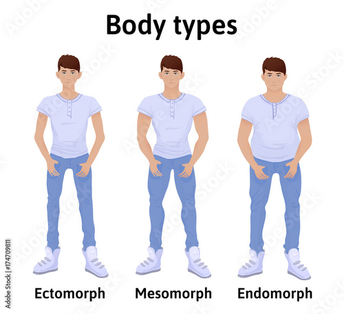 Constitution of human body. Man body types. Endomorph, ectomorph and mesomorph. Young men in t-shirts and jeans. Vector illustration, isolated on white background. photo