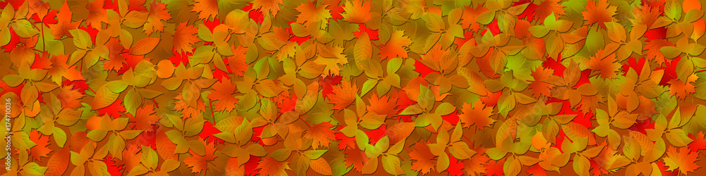 autumnal background, a lot of autumn leaves