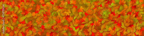 autumnal background, a lot of autumn leaves