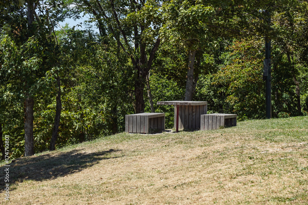 Picnic table on a green meadow with trees on background Picnic table on a green meadow with trees on background