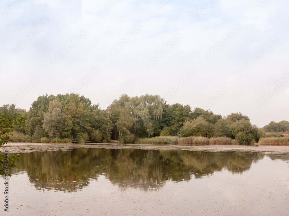 Fototapeta premium trees above a lake horizon reflected in water country scene