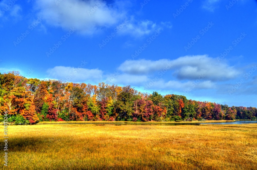 Fototapeta premium Virginia USA