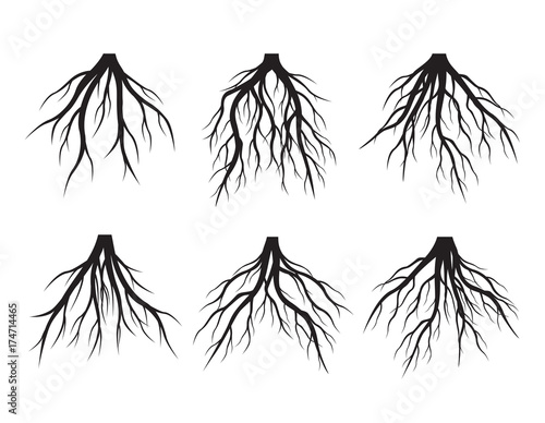 Set Black Roots Tree. Vector Illustration.