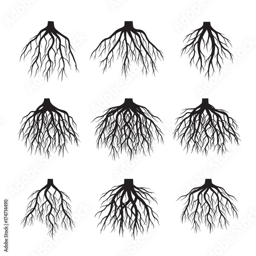 Set of Black Roots Tree. Vector Illustration.