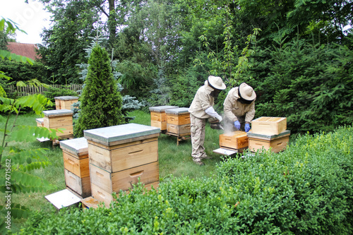 Beekeeper at work on his apiary with smoker next to the beehive