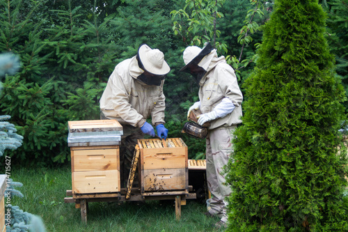 Beekeeper at work on his apiary with smoker next to the beehive