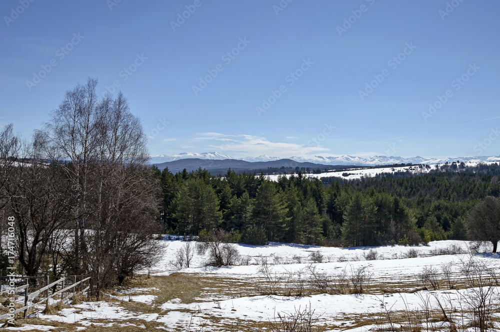 Magnetic winter scene on mixed forest in Vitosha mountain, Bulgaria Magnetic winter scene on mixed forest in Vitosha mountain, Bulgaria