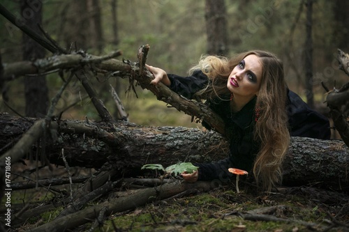 Halloween. amanita. beautiful girl in a black dress in the forest. photo