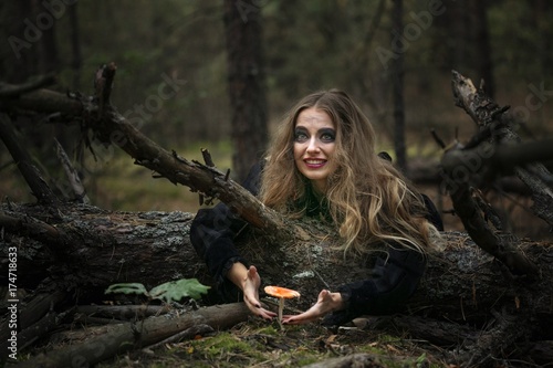 Halloween. amanita. beautiful girl in a black dress in the forest.