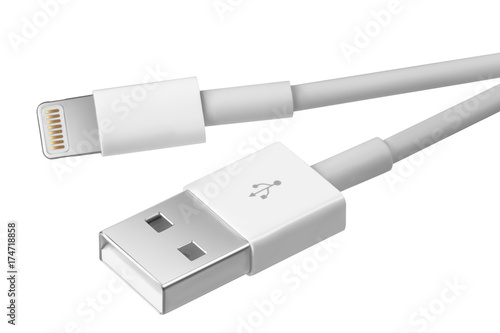 usb - lightning cable. the connectors photo on white