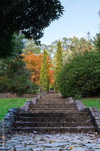 Steps leading up in the Yarra Valley in Victoria, Australia.