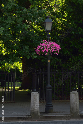 Old street lamp © icarmen13