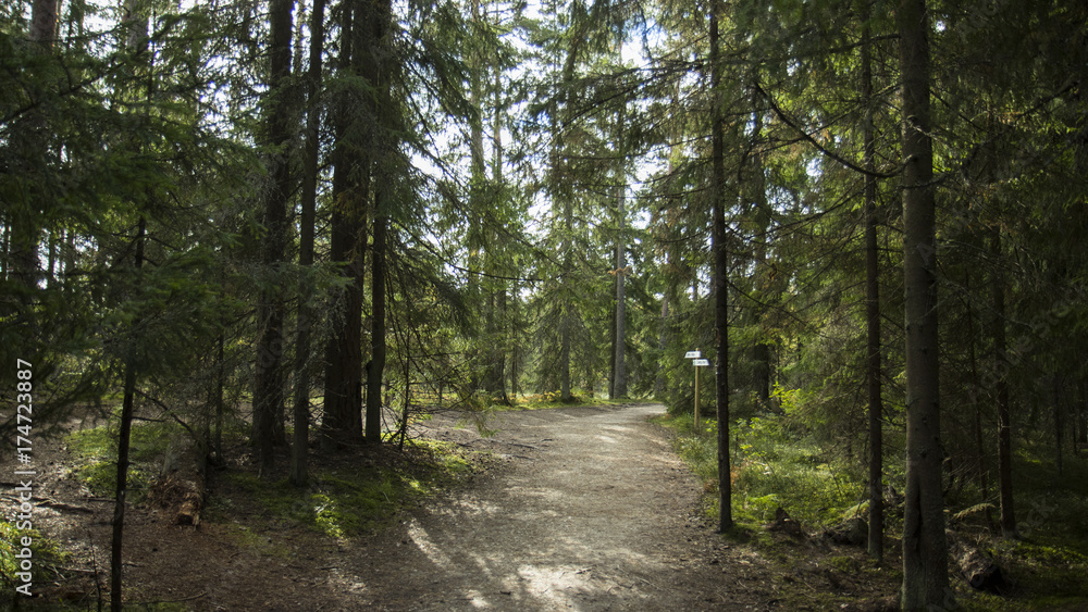 Pathway Pathway