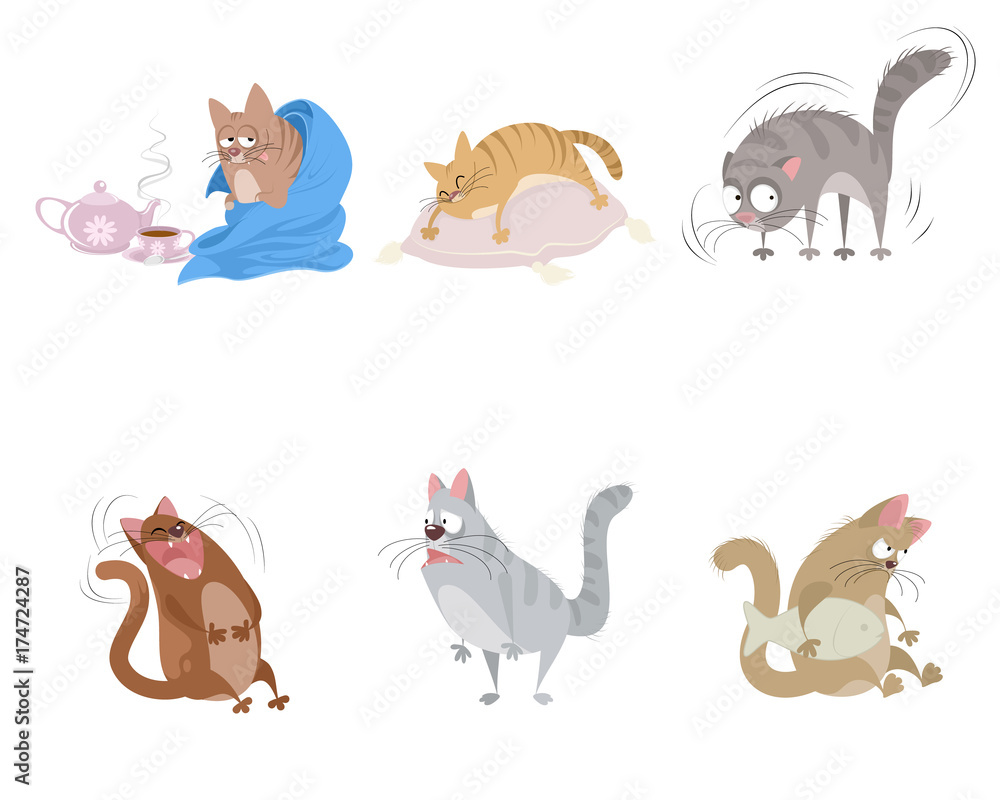 Six funny cats