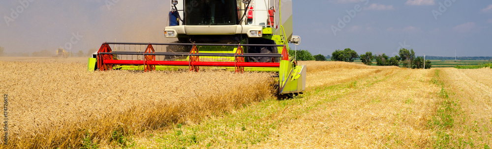 Harvester combine harvesting wheat on sunny summer day Harvester combine harvesting wheat on sunny summer day