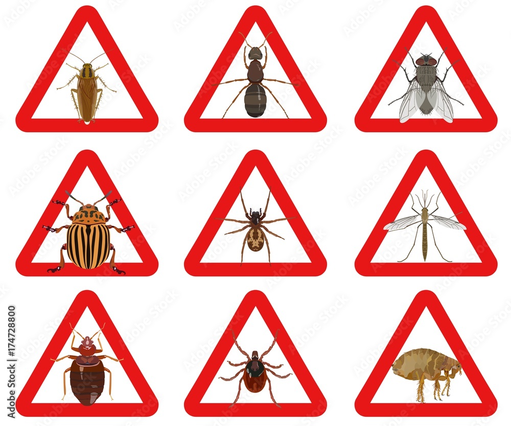 Set of red warning signs about harmful insects.. Vector illustration Set of red warning signs about harmful insects.. Vector illustration
