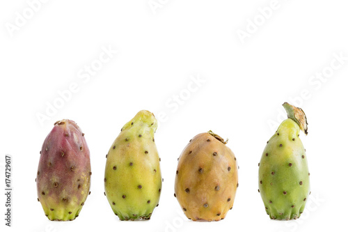 cactus fruits isolated on a white background