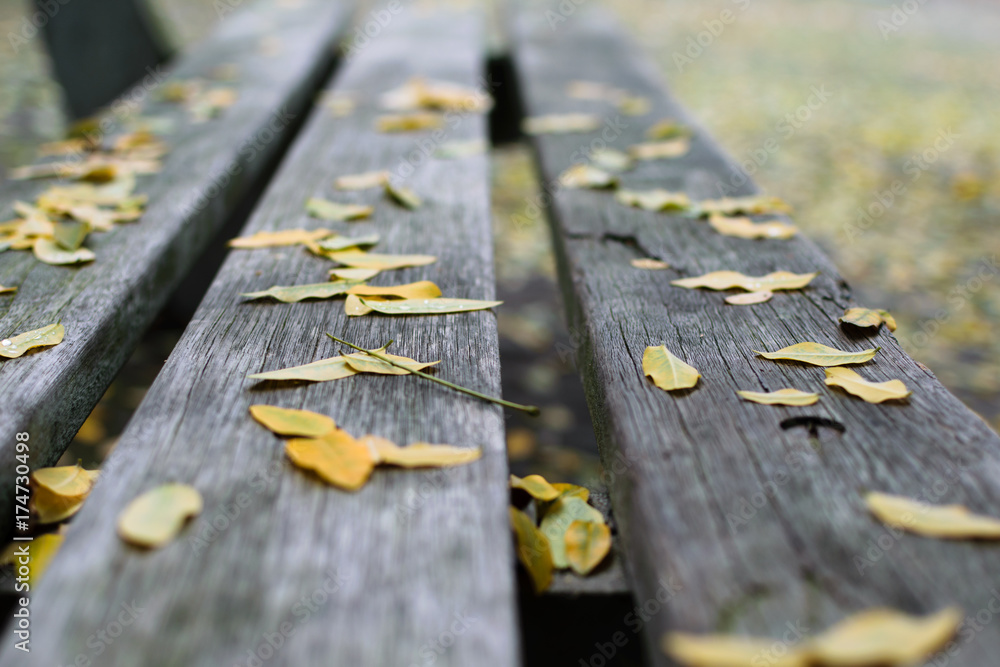 Fototapeta premium Autumn Bench