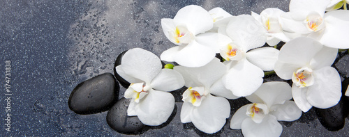 Still life with spa stones and white orchid.