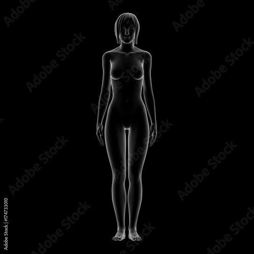 Female Body Shape