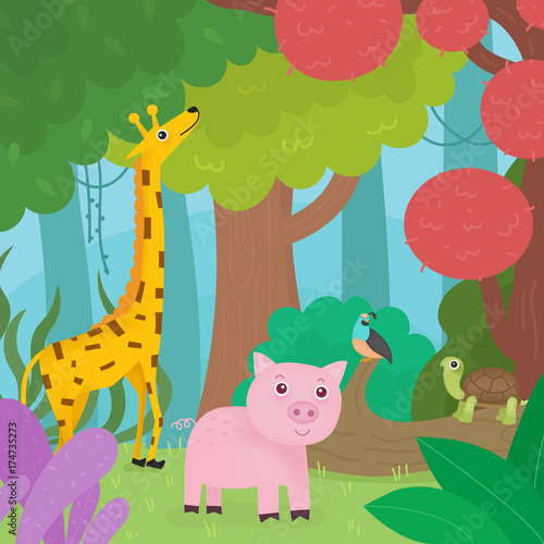Animals in the forest.