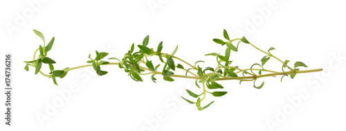 Thyme fresh herb isolated on white background