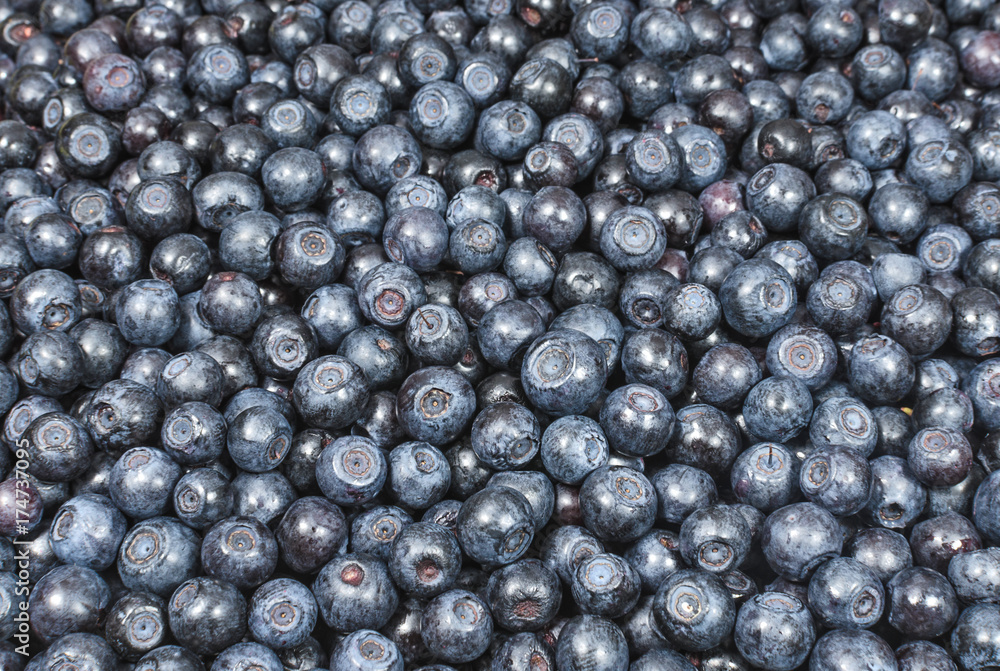 Background from fresh blueberries Background from fresh blueberries
