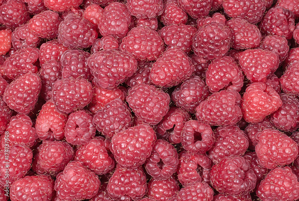 Background of fresh juicy raspberries Background of fresh juicy raspberries