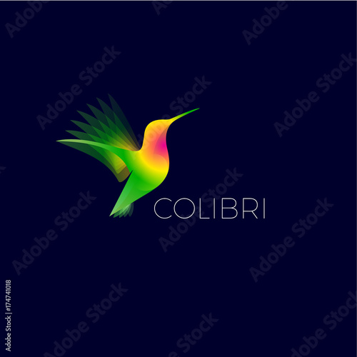 Colibri logo. Colorful hummingbird on dark  background.