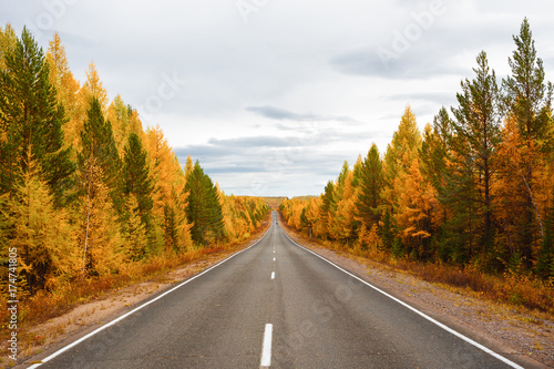  Direct road in a colorful autumn forest 