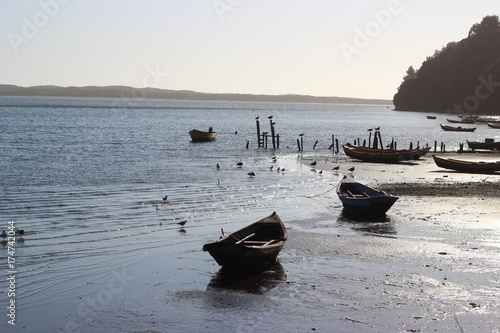 Botes de Puerto Saavedra photo