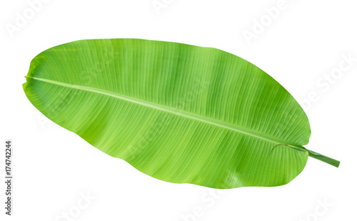 Canvas Print Fresh green tropical banana leaf isolated on white background, clipping path inc