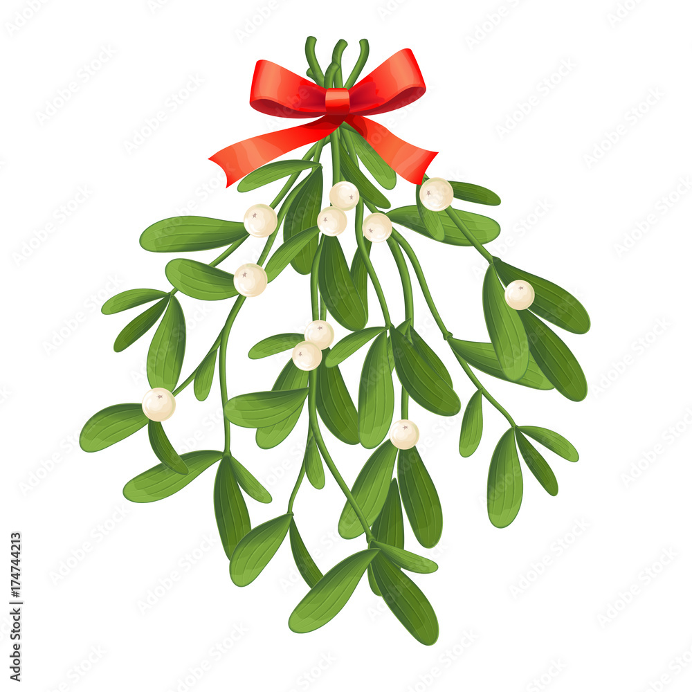 Ταπετσαρία Branch of mistletoe with berries and red bow