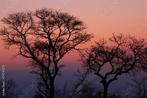 African sunset in the Kruger National Park, South Africa