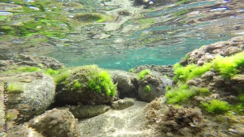 Underwater footage with GoPro in Costa Brava, Catalonia, Spain photo