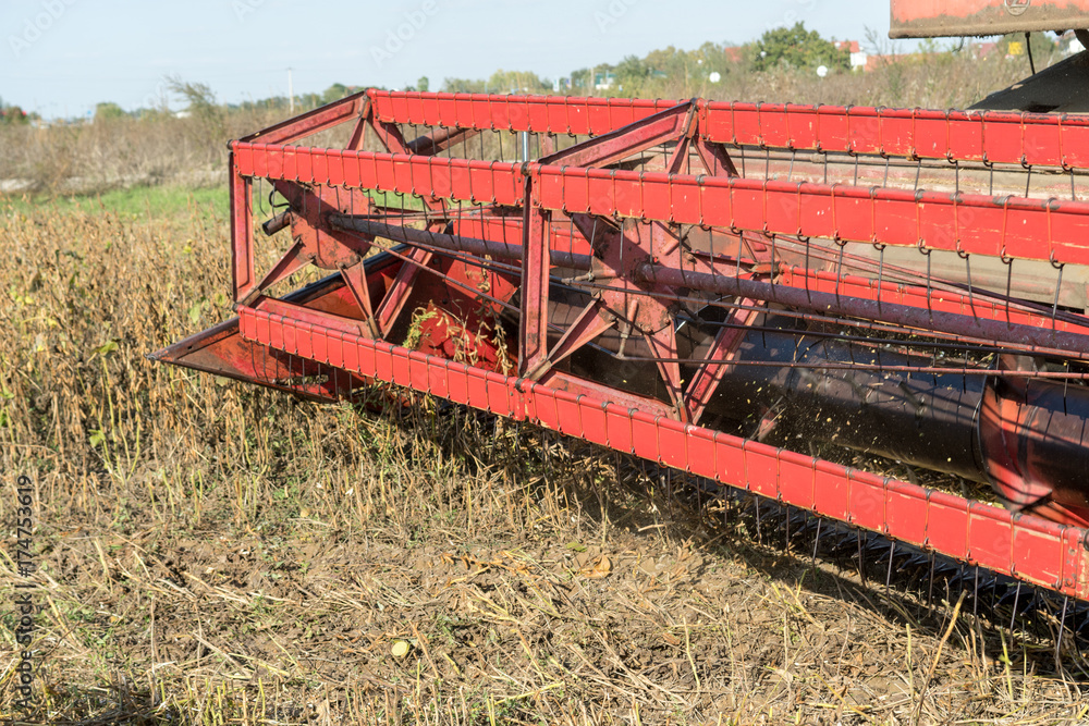 Obraz premium Harvesting of soybean field with combine. Detail of harvester. Agriculture soy crop.