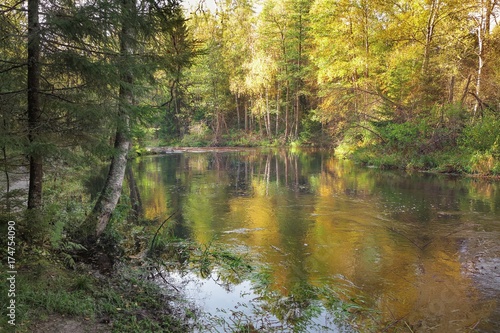 The river is surrounded by a bright motley autumn forest reflecting in the water