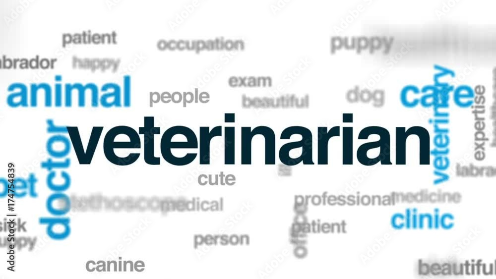 Veterinarian animated word cloud, text design animation. Veterinarian animated word cloud, text design animation.