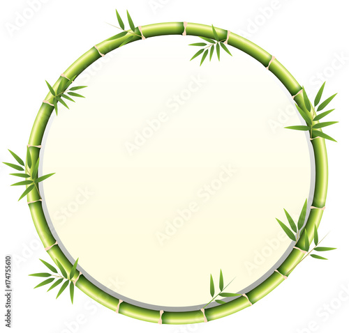 Curved bamboo frame design