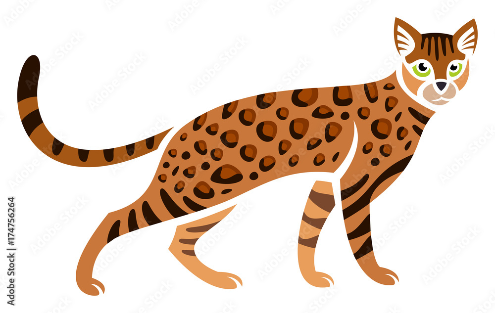 Obraz premium Stylized Bengal Cat