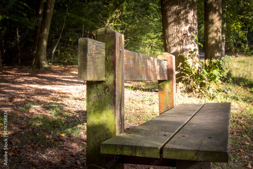 banc foret banc foret